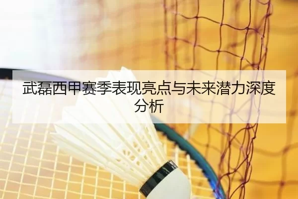 武磊西甲赛季表现亮点与未来潜力深度分析